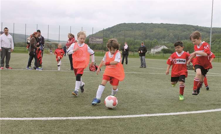 Mit viel Kampfgeist gaben die kleinen Nachwuchsspielerinnen und -spieler in Kripp ihr Bestes.privat