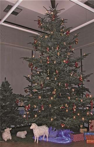 Mit viel Liebe zum Detail wurde der Weihnachtsbaum geschmückt.