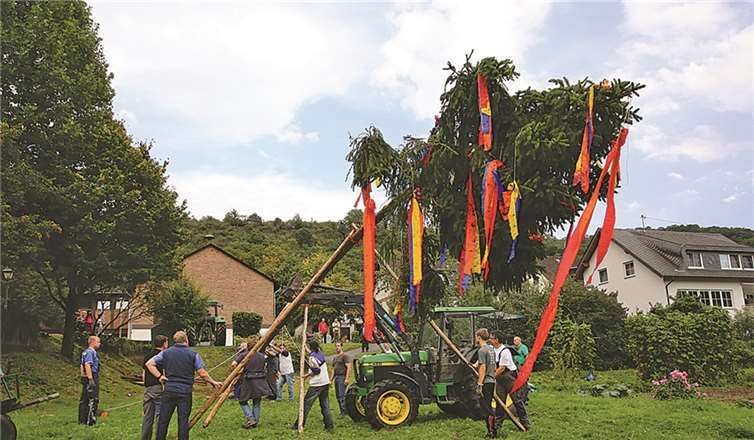 Mit viel Manneskraft und 162 PS brachten die Niederfeller das Wahrzeichen ihrer Kirmes in die richtige und sichere Position.  EP