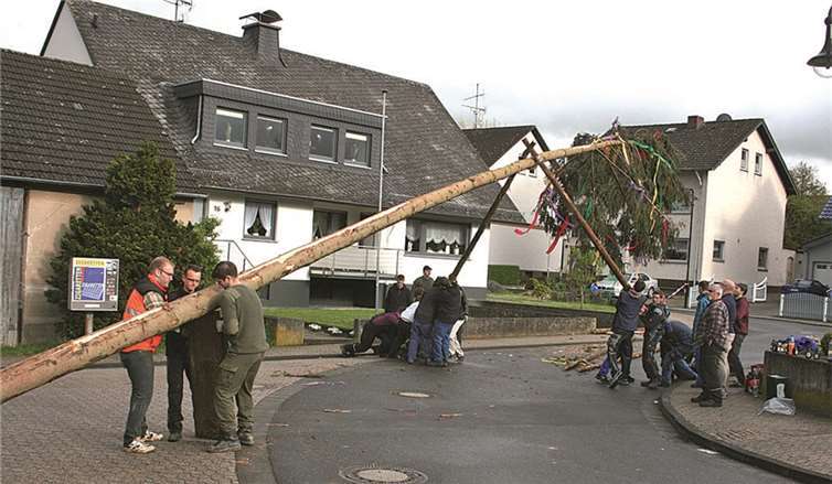 Mit viel Muskelkraft und mit Hilfe nur zweier „Schwalben“ stellten die Waldorfer Junggesellen traditionsgemäß den Maibaum an der Vinxtbachhalle auf. WK