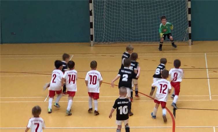 Mit viel Spaß bestritten die kleinen Kicker den Kreisbambinitag.privat