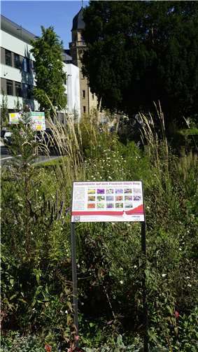Mit zwei neuen Hinweisschildern informieren die Koblenzer Stadtgärtner über die Staudenbeete auf dem Friedrich-Ebert-Ring.  Foto: Stadt Koblenz / Verena Groß