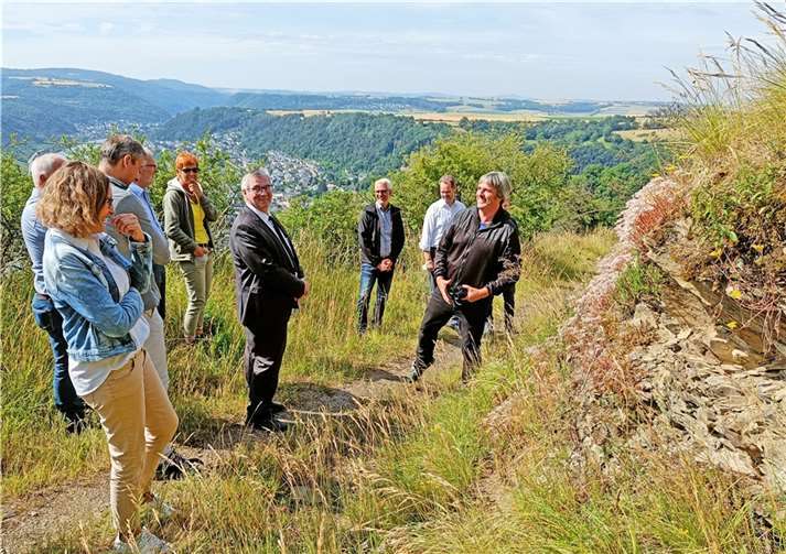 Mitarbeiter der Kreisverwaltung Mayen-Koblenz und Vertreter der Verbandsgemeinde Rhein-Mosel, der Ortsgemeinde Kobern-Gondorf sowie der Ökostiftung Untermosel überzeugten sich nun vor Ort von den erfolgreich umgesetzten Ausgleichsmaßnahmen. Foto: Kreisverwaltung Mayen-Koblenz