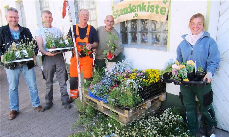 Mitarbeiter des städtischen Bauhofs Linz an der neuen Staudenkiste.Foto: Uwe Hüngsberg