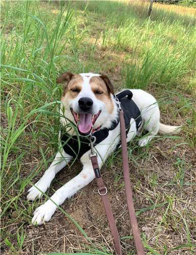 Mitena (6) Foto: privat