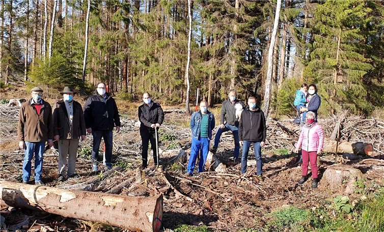 Mitglieder der CDU Unkel pflanzen Platanen im Stadtwald. Foto: privat