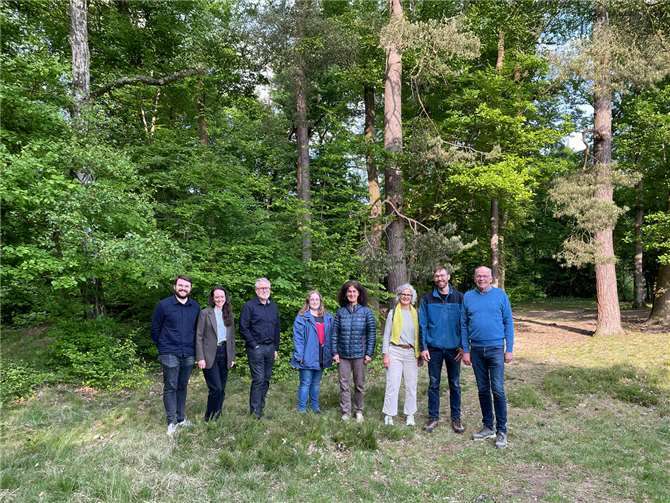 Mitglieder des Ortsverbands der Sinziger Grünen bei einer Begehung im Sinziger Wald.  Foto: Elly Rehmann