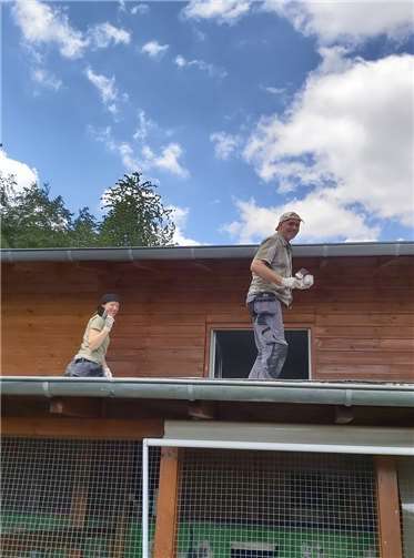 Jede Katze wird bestmöglich versorgt Mitglieder helfen, das Katzenhaus zu streichen.