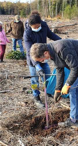 Mitglieder und der Förster Thomas Tullius pflanzten neue Platanenpflänzlinge. Foto: privat