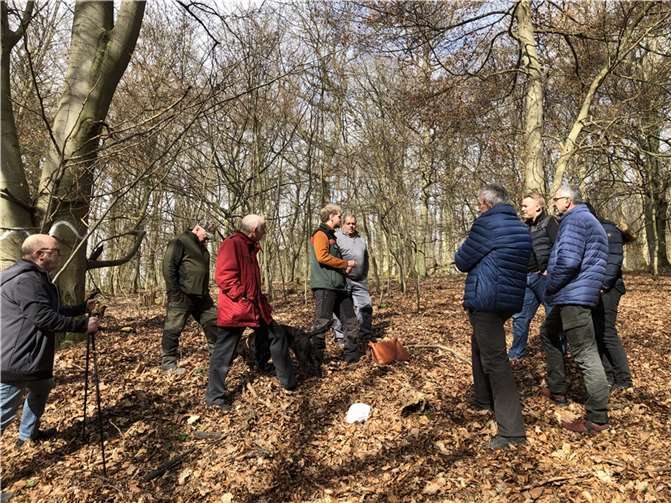 Mitglieder von Gemeinderat und Ausschüssen beim Forstbegang mit Herrn Jonas Frings vom Forstamt Koblenz. Quelle: Ortsgemeinde Kobern-Gondorf