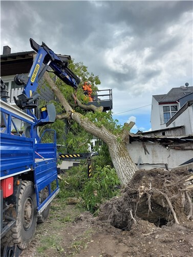 Mithilfe des Cochemer Ladekrans und des Teleskopladers der saarländischen Kollegen, gelang es den Helferinnen und Helfern, den entwurzelten Baum, welcher auf das Dach eines Wohnhauses gestürzt war, zurückzuschneiden.