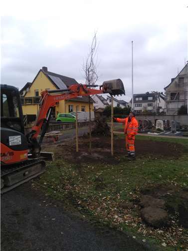 Mithilfe eines Baggers wurden die Pflanzungen vorgenommen. Fotos: privat