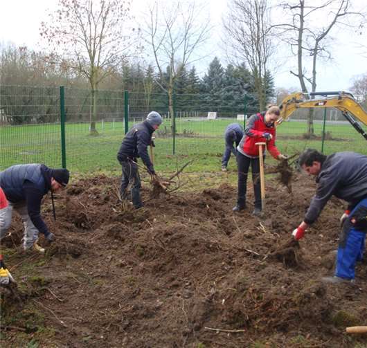 Mithilfe eines gespendeten Baggers konnte das Gelände von überflüssigen Wurzeln befreit werden. privat