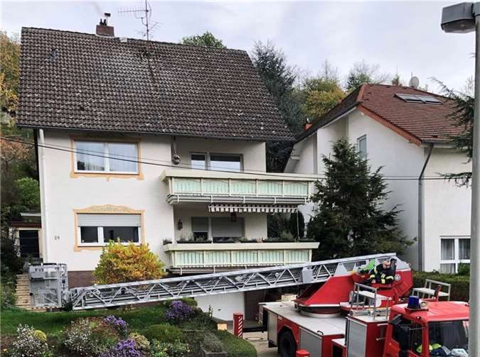 Mittels Drehleiter wurde die Katze gerettet.  Foto: Feuerwehr Bad Neuenahr