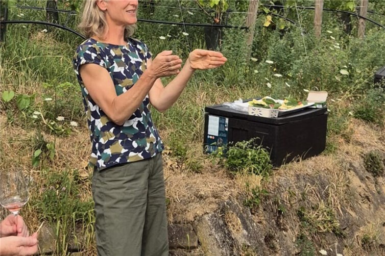 Mitten in den Weinbergen auf dem Gertrudenberg verkostete die Gruppe drei dort angebaute Weine.