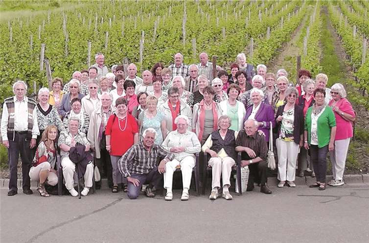 Mitten in den Weinbergen stehen die Aktiven der Rheumaliga Adenau anlässlich ihres Tagesausfluges zur Mosel.