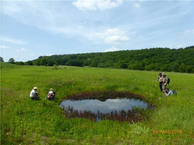 Mitten in der Natur versuchten die fünf Fotografen, die kleinen Kreaturen vor die Linse zu bekommen. Veronika Raß