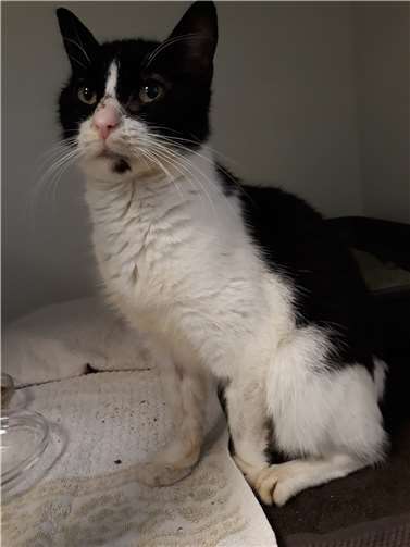 Mittlerweile geht es Agnes wesentlich besser.