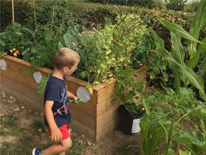 Mittlerweile gibt es im Kindergarten drei Hochbeete.