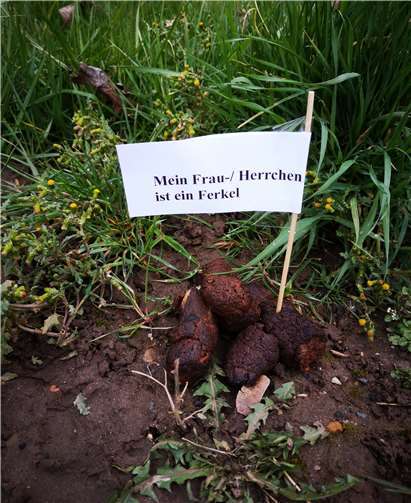 Mittlerweile kennt es jeder: Hundehaufen als ständiger Wegbegleiter bei Spaziergängen.Foto: privat