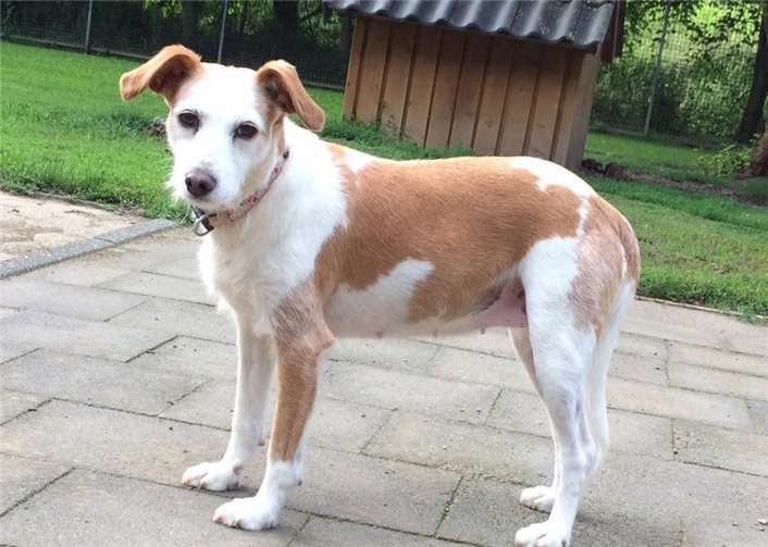 Mochi ist auf einem guten Weg und wird so langsam zutraulicher. privat