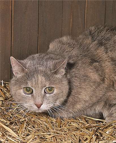 Molly versteht die Welt nicht mehr. privat