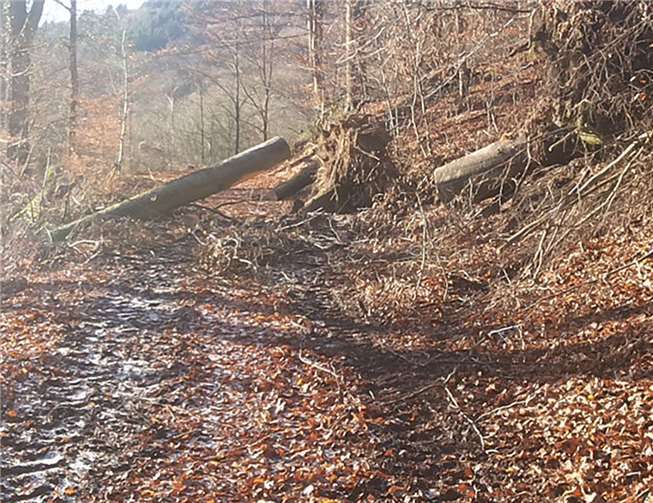 Momentan müssen sich Wanderer auf Einschränkungen einstellen.