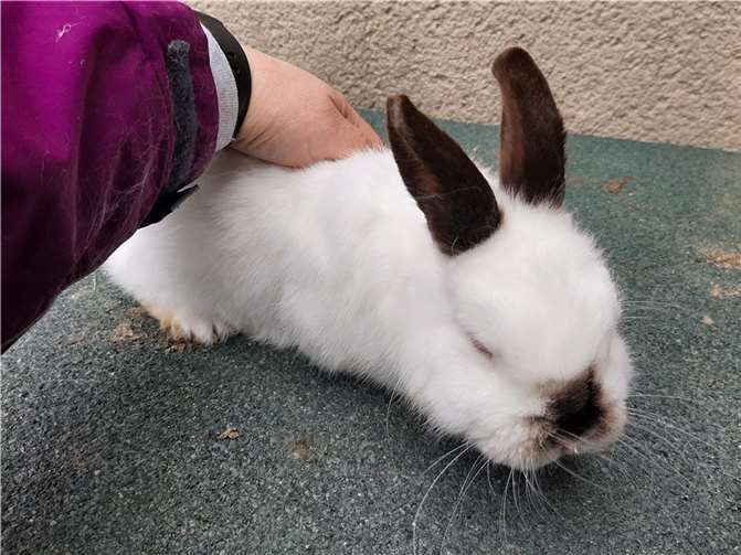 Monty. Fotos: privat