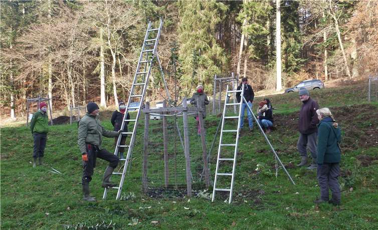 Morgens starteten die Baumpaten im Streuobstverein „Eifel/Ahr e.V.“ auf der Streuobstwiese in Leimbach-Adorferhof mit der vorläufig letzten Aktion des Vereins in diesem Jahr. Fotos: Winfried Sander