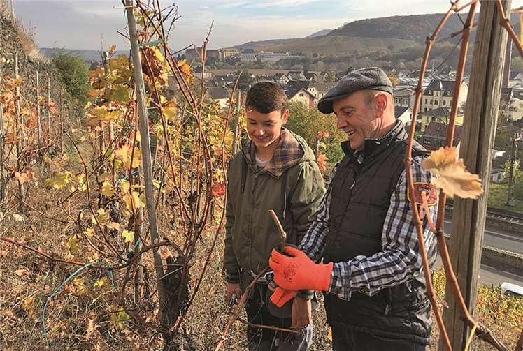 Moritz aus der Klasse 9d erhielt in seinem Praktikum als Winzer Tipps von Hubert Pauly, dem Präsidenten des Weinbauverbandes Ahr, wie die Reben zu beschneiden sind. privat