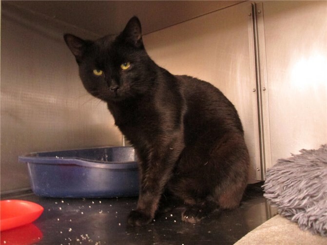 Celeste und Morrison auf der Suche nach Geborgenheit  Morrison. Fotos: privat