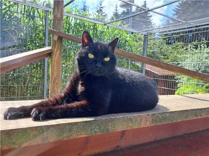 Morschen. Fotos: privat