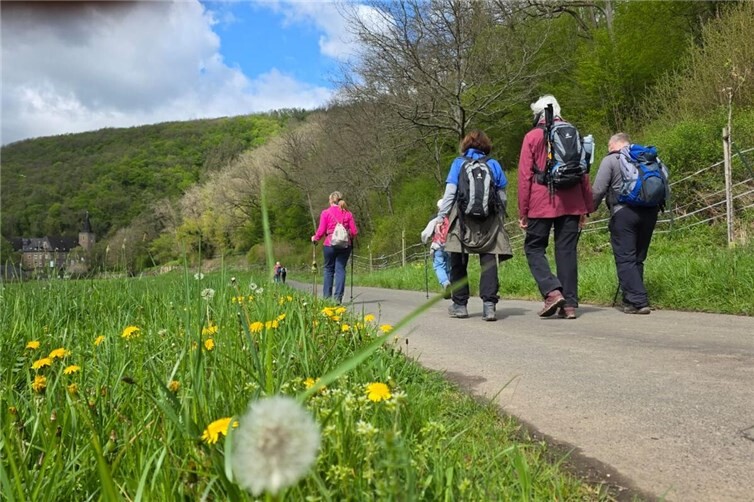 Moselcamino - unterwegs sein