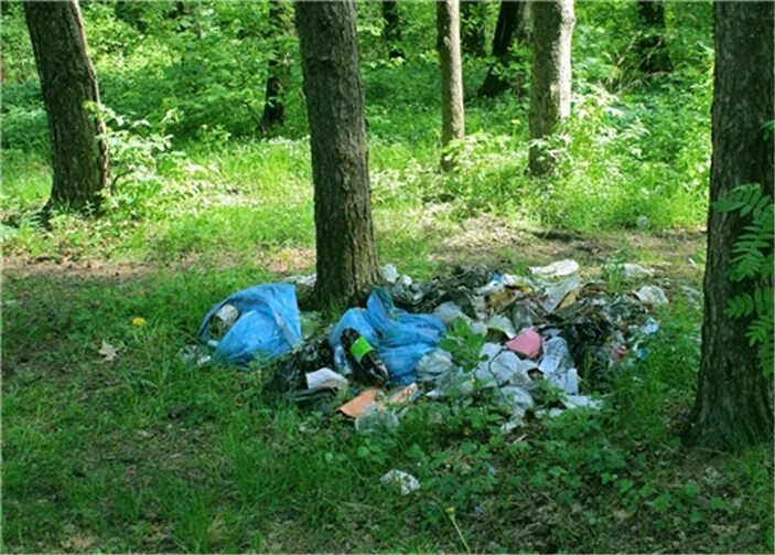 Müll in den Wald zu kippen ist vollkommen unnötig – und wird geahndet.  Anton Vasilev/Fotolia