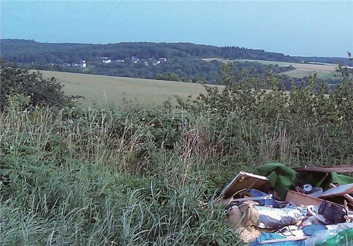 Müll in der freien Natur? Mancherorts ist das keine Seltenheit. Ab Februar heißt es wieder: Der Dreck kommt weg. Kreisverwaltung Ahrweiler