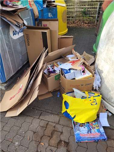 Müll neben den Containern.  Foto: privat