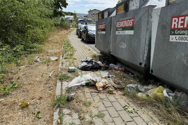 Müllablagerungen an Containerstandorten sorgen immer wieder für Beschwerden. Welche Maßnahmen zu einem saubereren Stadtbild beitragen können, wird der Ortsbeirat am 15. September beraten.