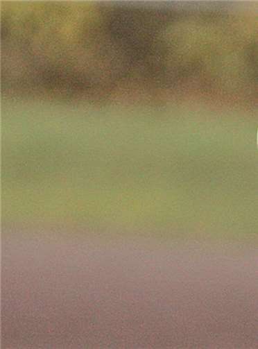 Murat Sayim ist von seinem Team begeistert: „Das sind wundervolle Spieler, die nach dem Neuaufbau Großartiges geleistet haben.“ -RW-