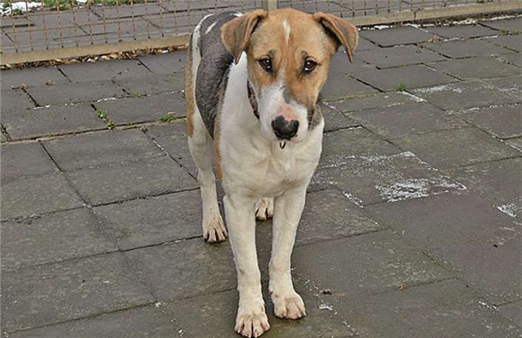 Murcia braucht dringend mehr Zuneigung. privat