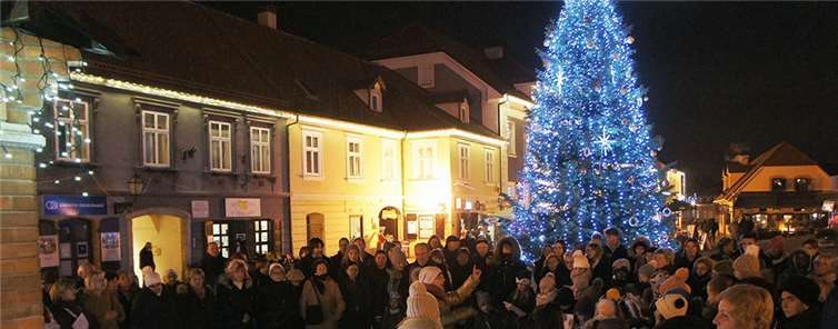 Musik vor dem Weihnachtsbaum auf dem König Tomislaw Platz in Samobor. Privatt