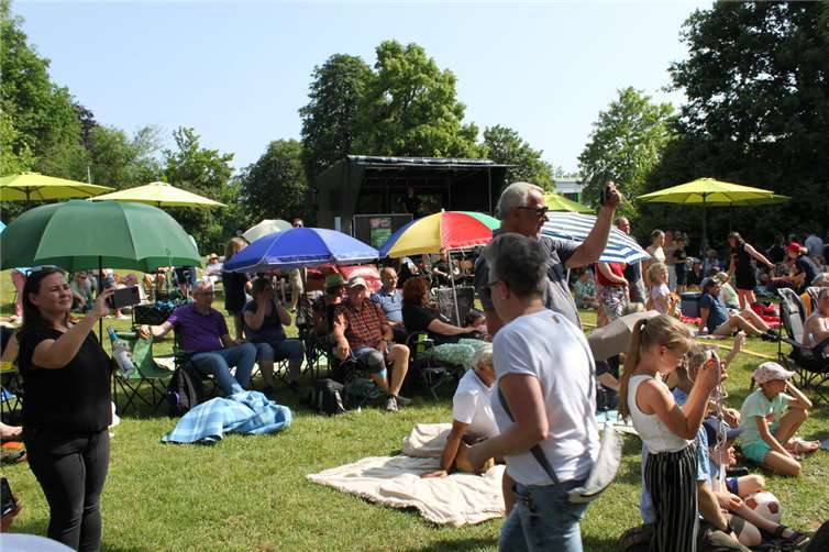 Musikalischer Schuljahresausklang in Dierdorf.Foto: privat