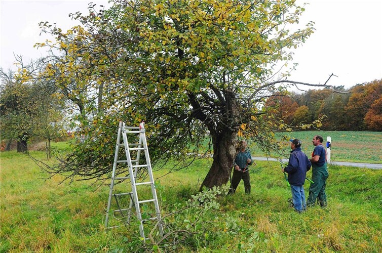 NABU-Mitglieder im Einsatz.  Foto: Marcel Weidenfeller