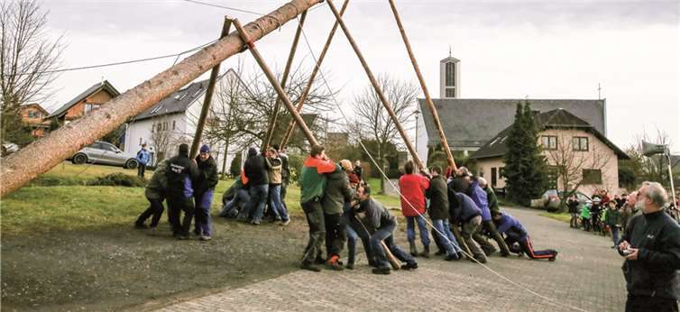 Nach alter Tradition sind es  die Junggesellen, die mit viel Kraftaufwand den Kirmesbaum aufstellen.EP