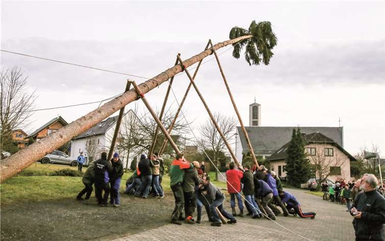 Nach alter Tradition sind es  die Junggesellen, die mit viel Kraftaufwand den Kirmesbaum aufstellen.EP