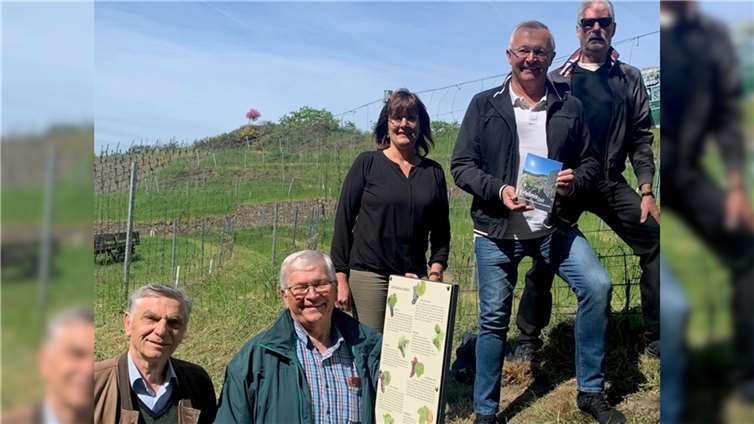 Nach dann 20 Amtsjahren wird der ehrenamtliche Bürgermeister der Kulturstadt Unkel, Gerhard Hausen, auf eine erneute Kandidatur bei den Kommunalwahlen 2024 verzichten. Landrat Achim Hallerbach, hier bei der Präsentation des Kulturlandschaftsvermittlungssystems am Unkeler Elsberg, fordert Konsequenzen aus der SWR-Umfrage, wonach mehr als die Hälfte aller Amtsinhaber überlegen, nicht mehr anzutreten.  Foto: Archiv Thomas Herschbach