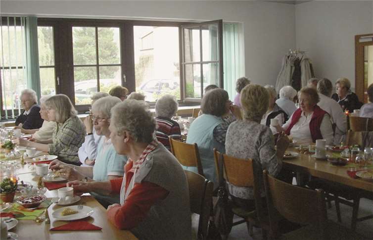 Nach dem Kaffeetrinken wurden den Damen Dias und Filmausschnitte von alten Rosenmontagszügen gezeigt. privat