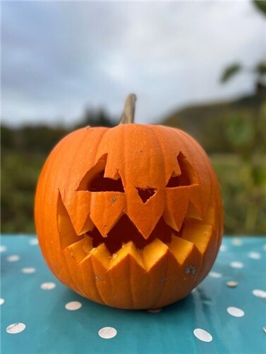 Gut 400 Besucher beim Kürbisfest in Unkel  Nach der Ernte wurden die Kürbisse passend für Halloween geschnitzt.