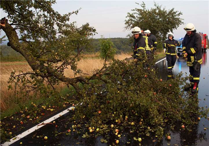 Nach der Kontrolle der Hauptstraße in Dernbach durch die Feuerwehr wurde zunächst ein umgefallener Baum auf der Verbindungsstraße Richtung Urbach beseitigt.Fotos: Feuerwehr