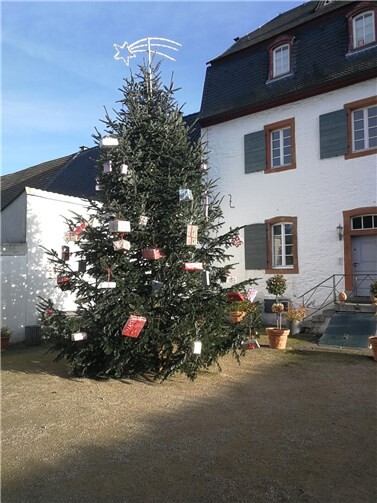 Nach der Preisgeldverteilung wurde gemeinsam mit den über 50 anwesenden Altendorfer und Ersdorfer Einwohner:innen der Weihnachtsbaum vor dem Herrenhaus mit bunten Paketen geschmückt.