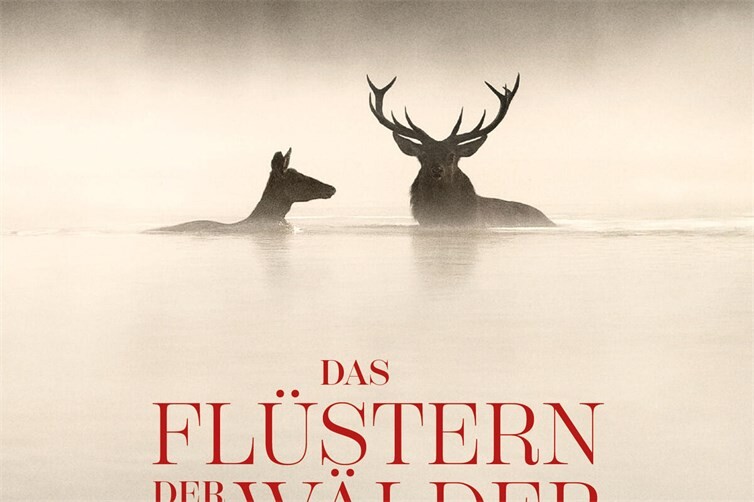 Nach der mit einem César ausgezeichnetenNatur-Doku „Der Schneeleopard“ gelingt esdem französischen Wildtierfotografen undDokumentarfilmer Vincent Munier mit DASFLÜSTERN DER WÄLDER nicht nur die visuellePracht, sondern auch die poetischen Klängedes Waldes einzufangen.